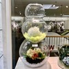WGV Large Bowl Glass Vase Bulk, Diameter 9", Height 8",