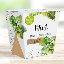 Homemade Herb Kit – All-in-One Tea Mint – Indoor Garden Planter - Grow Your own Tea Herbs – Live Seeds Ready to Plant – Pleasantly Scented