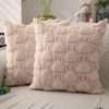DFXSZ Easter Pillow Covers 18x18 inch Set of 2 Easter