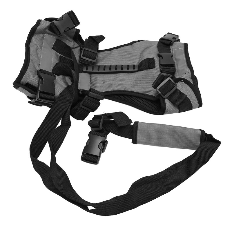 Cat Vest Harnesses Leash Adjustable Breathable Stylish Multifunctional Pet Walking