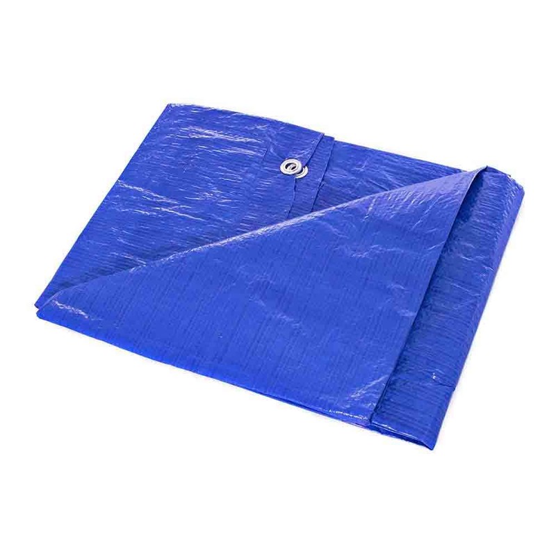 Golberg 6-ft x 8-ft General Purpose Poly Tarp (Blue)
