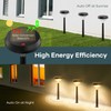 Linkind Solar Lights Outdoor 8 Pack, Solar Pathway Lights, Warm