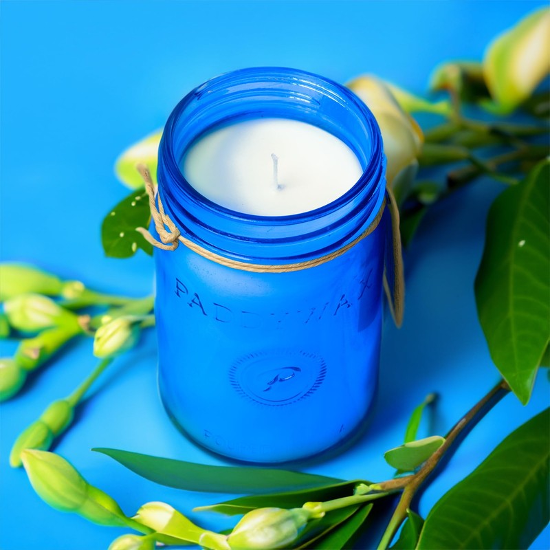 Paddywax Scented Candles Relish Collection Soy Wax Artisan Candle in