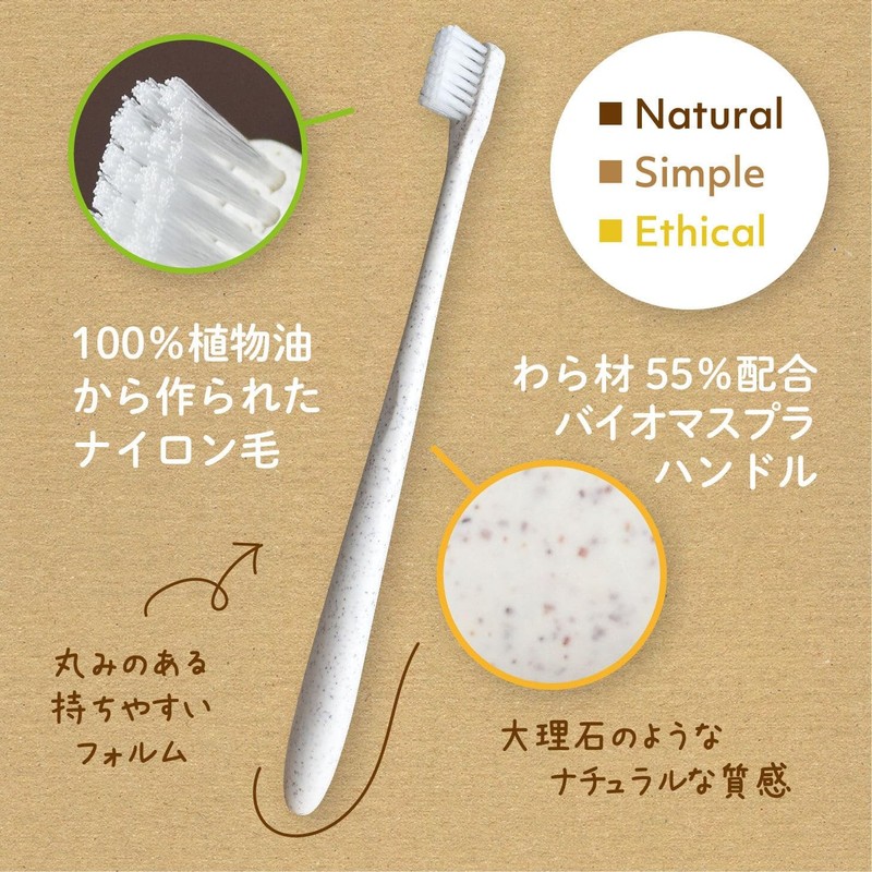 アヌシ（ANNECY） 藁(わら)歯ブラシ OB-813 24本セット