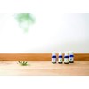 Global Product Planning Aroma Incense, White Musk, 16 Capsules (Cone