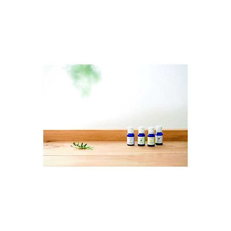 Global Product Planning Aroma Incense, White Musk, 16 Capsules (Cone