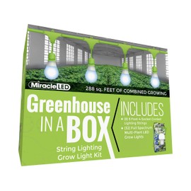 Miracle LED Greenhouse in a Box Daylight Plus Grow Kit for Indoor Plants - Includes 32 Absolute Daylight Plus Blue 150W Replacement Grow Light Bulbs & 8 4-Socket Corded Light Fixture