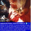 Nabür Ethiopia Incense, Boswellia Papyrifera - 200g Gold AAA+, Purification,
