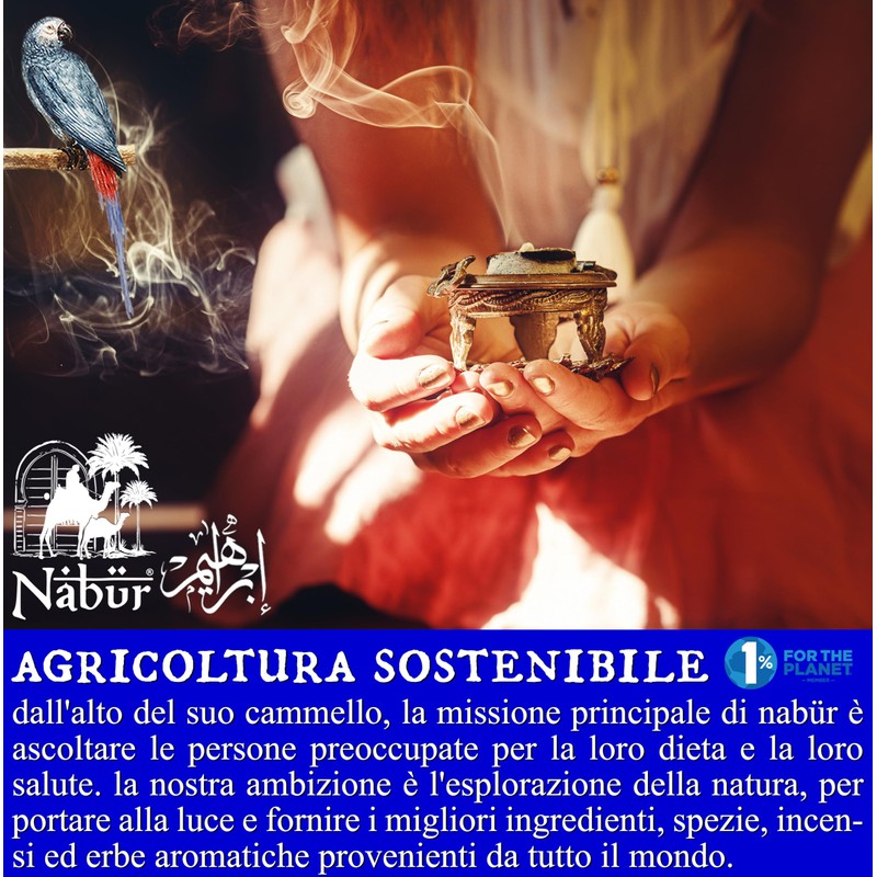 Nabür Ethiopia Incense, Boswellia Papyrifera - 200g Gold AAA+, Purification,