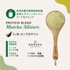 GRON Pea Protein Matcha All Stars 0.7 oz (20 g)