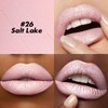 FOCALLURE Ultra Chic Lipstick,Rich Vitamin E Lip Crayon,Lightweight Color without
