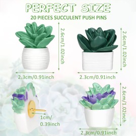 20 Pieces Cute Succulent Plants Decorative Push Pins Colorful Floret Thumbtacks for Photo Wall, Feature Wall, Whiteboard, Cork Board, Map, Bulletin Board, Office or Home (Three Assorted Styles) | Utron