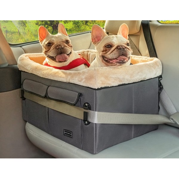 Petsfit Dog Car Seat for Medium Dogs or 2 Small Dogs, Upgraded Dog Booster Seat for Front and Back Seats with 2 Safety Leashes (Medium, Deep Grey)