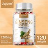Ginseng 2000mg - Highly concentrated ginsenoside to improve energy and