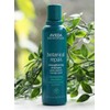 Aveda [AVEDA]아베다 보태니컬리페어 스트레쓰닝 샴푸 컨디셔너 200ml [보태니컬리페어 샴푸 200ml]