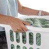 Sterilite 12-Pack Rectangular Laundry Basket, Plastic Clothes Hamper, 1.5 Bushel,