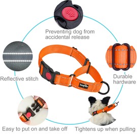 haapaw 2 Packs Martingale Dog Collar with Quick Release Buckle Reflective Dog Training Collars for Small Medium Large Dogs (Collar+Leash, L Neck 17"-21", Orange, 1+1 Packs)