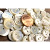 Unbranded 8 Fabulous Iridescent Cream Trocas Natural Shell MOP Buttons