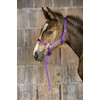 Ekkia Foal Halter with Adjustable Nose and Neck Strap Purple