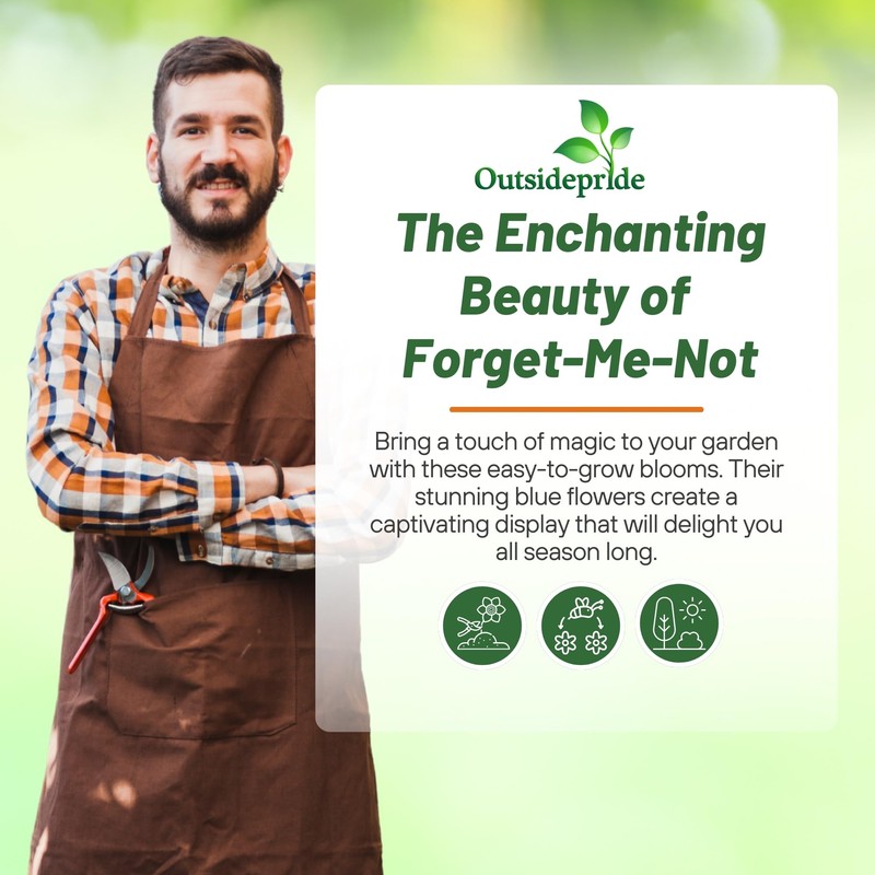 Outsidepride Blue Forget Me Not Seeds - 10000 Pcs Low