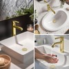 Hibbent 2 Pack Upgraded 3 in 1 Bathroom Sink Drain