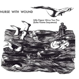 The Little Dipper Minus Two Plus (Echo Poeme Sequences)