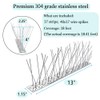PANGCH Bird Spikes,Stainless Steel Bird Spikes Metal Bird Spikes Fence