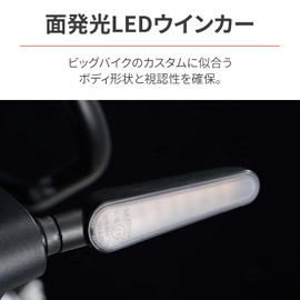 Daytona 10155 D-Light RAY Sequential LED Turn Signal for Motorcycles, Flowing Turn Signal