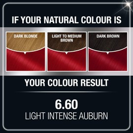 Garnier Olia Bold Ammonia Free Permanent Hair Color (Packaging May Vary), 6.60 Light Intense Auburn, Red Hair Dye, Pack of 1