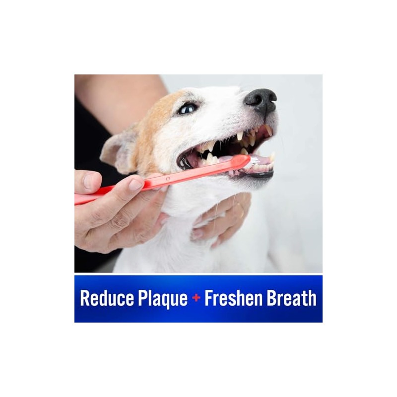 Pasta de Dientes Enzimática Y Cepillo Para para perros y