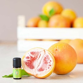 Primavera PRIMAVERA ?therisches ?l Grapefruit bio 5 ml - Aroma?l, Duft?l, Aromatherapie - stimmungsaufhellend, aufmunternd, anregend - vegan