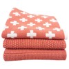 Ecovask Dish Cloth 3pc Variety Pack Organic Cotton, Neptune