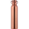 HealthGoodsAU - Pure Copper Water Bottle with Carrying Handle |