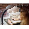 Kenley Natural Daylight Floor Lamp - Craft Light Floor Standing