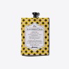 The Renaissance Circle Mascarilla Reparadora Davines