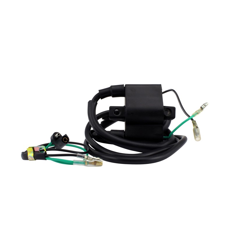 RMSTATOR External Ignition Coil Replacement For Arctic Cat Bearcat Cougar