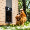 RUN-CHICKEN Door (Gray) Automatic Chicken Coop Door, Programmable with App,