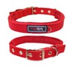 THAIN Dog Collar, Basic, 5 Holes, Adjustable, Stylish, Cute, Dog