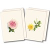 Earth Sky + Water - Rose Assortment Notecard Set -