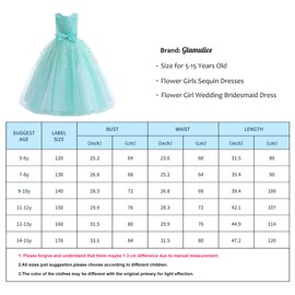 Glamulice Princess Sparkle Tulle Dress Elegant Vintage Flower Girl Dresses for Wedding Bridesmaid Party Dance Ball Gown Pageant Holiday Birthday Prom Kids Formal Communion Gown Mint Green 11 12