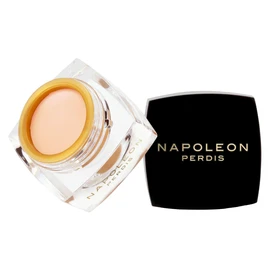 Napoleon Perdis The One Concealer 3.5 ml, Fair