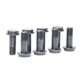 LUK 411017310 Flywheel Screw Set