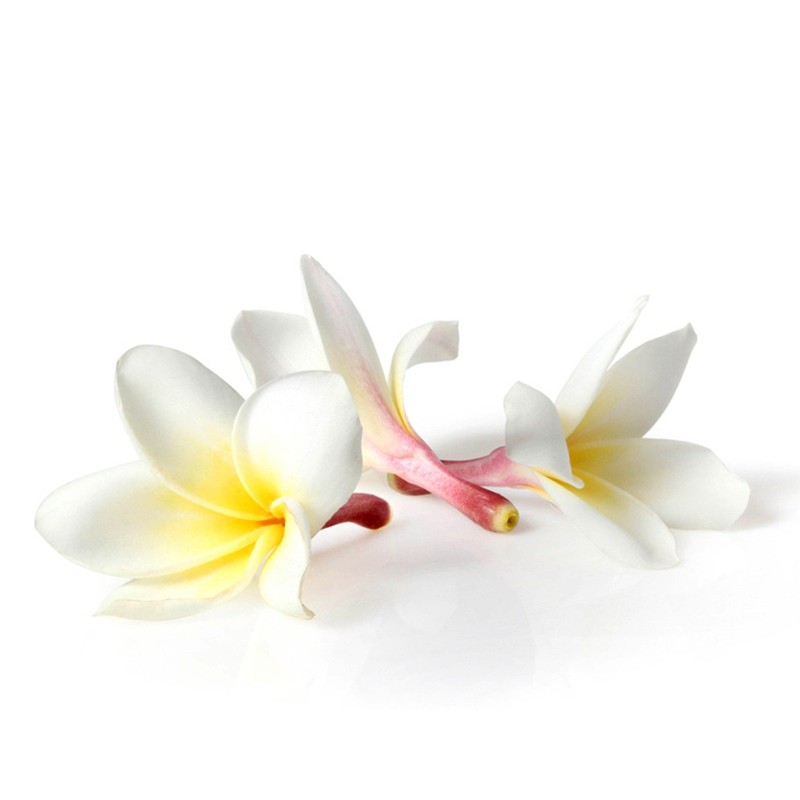 Rose - Thai-Aromaöl - 250ml - Massageöl mit dem Duft
