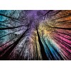 Hard Impossible Puzzles for Adults 1000 Piece, Challenging Difficult Puzzles