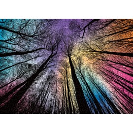 Hard Impossible Puzzles for Adults 1000 Piece, Challenging Difficult Puzzles for Adults, Colorful Gradient Jigsaw Puzzle for Adult
