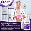 AOR AOR Mastica Chios 400mg Vegan Capsules, 120 Count 40-Day
