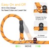 Slip Lead 6 FT for Small and Medium Dogs,Puppy Dog