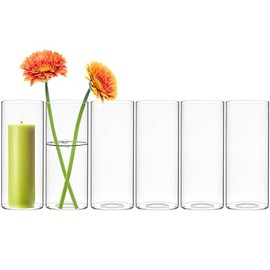 CYS EXCEL Glass Cylinder Bud Vases Set of 6 Clear Mini Small Flower Vases Wedding Centerpiece Table Decorations Event Party Home Décor Floral Arrangement