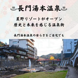 Bath Agent Gift Hot Springs "Nagato Yumoto Hot Springs, 8.8 oz (250 g) (10 Uses)