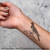 4 x 'Dove on Rock' Temporary Tattoos - Water Resistant,